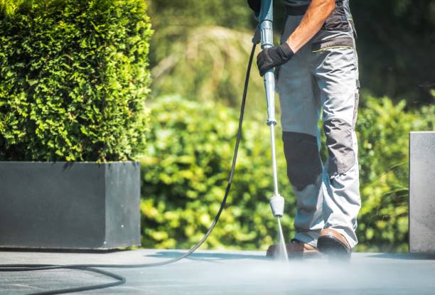 Best Sidewalk and Walkway Cleaning  in Melrose Park, IL